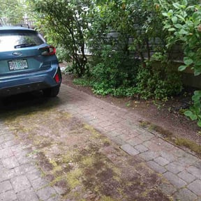 Leaf Removal by Not on my watch 2.0 reviewed on May 22, 2026