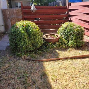 Bush Trimming by Texas Best Lawn and Farm reviewed on March 12, 2024