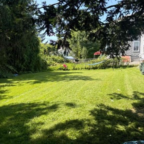 grass cutting by Gia Mobile Detailing reviewed on March 4, 2024