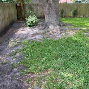 Leaf Removal by G&amp;M Landscaping Services reviewed on September 13, 2025