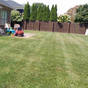 yard work by Tidy Trim reviewed on August 20, 2025