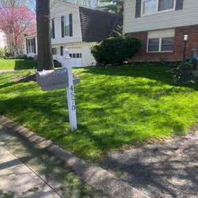 yard service by Green Go Lawn Care reviewed on August 15, 2025