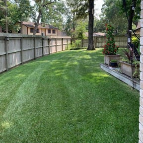 grass maintenance by Deluxe Services by Alberto reviewed on August 15, 2025