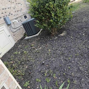 Leaf Removal by The Stump Doctor Llc reviewed on September 17, 2025