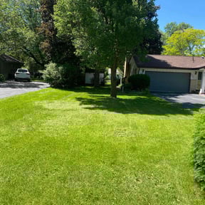 landscaping services by Aritalawncare reviewed on August 20, 2025