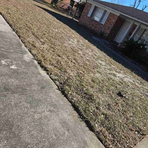 Leaf Removal by Major Services reviewed on April 20, 2026