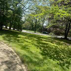 landscaping by New World Lawn Care LLC reviewed on November 21, 2025