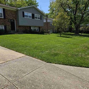 grass maintenance by Velasco Landscaping reviewed on May 8, 2025