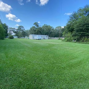 yard work by Louisiana Lawns reviewed on February 3, 2026