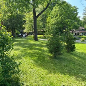 gardening service by Mariano's maintenance and landscaping reviewed on August 18, 2025