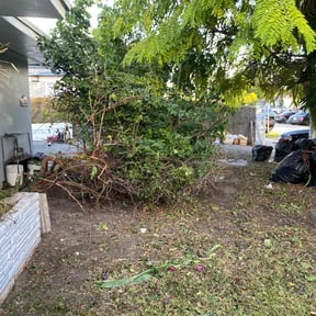 Bush Trimming by Abney's lawncare reviewed on August 13, 2025
