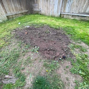 Leaf Removal by MHF Lawn Care reviewed on September 18, 2025