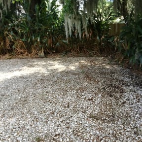 Bush Trimming by Community Lawn Concierge reviewed on August 16, 2025