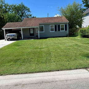 yard maintenance by Strike Force (Robert Stewart) reviewed on November 9, 2017