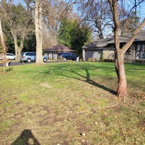 Leaf Removal by BRDOC - Lawn Care reviewed on June 17, 2026