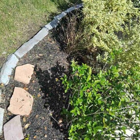 Flower Bed Weeding by Creating a better Landscaping reviewed on April 25, 2026