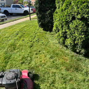 Bush Trimming by TM lawn pros reviewed on July 18, 2023