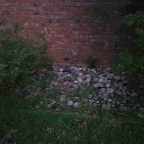Flower Bed Weeding by Xd Lawndcare reviewed on August 1, 2026