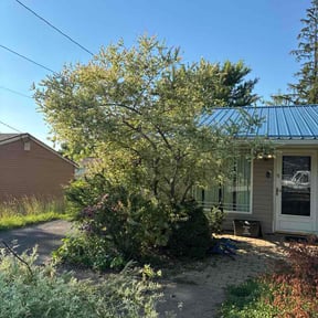 Bush Trimming by Smiley's Landscaping LLC reviewed on June 24, 2026