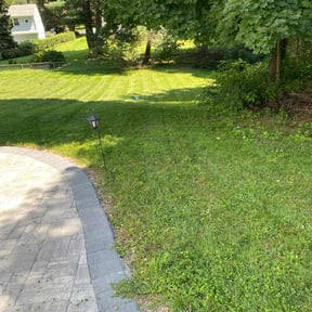 grass maintenance by D&amp;D Lawn Care reviewed on April 29, 2024