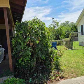 Bush Trimming by Forever Green FG LLC reviewed on January 30, 2026