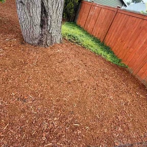 Leaf Removal by Grandpa &amp; Sons reviewed on June 3, 2026