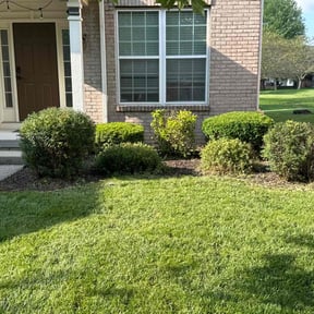 Cleanups by Luis’ Landscape and Gardening reviewed on November 24, 2025