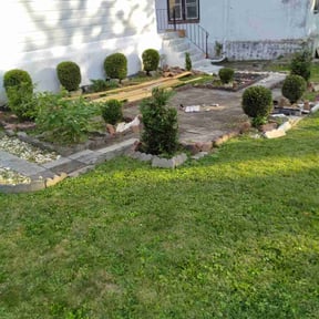 Bush Trimming by Forever Green FG LLC reviewed on January 16, 2026