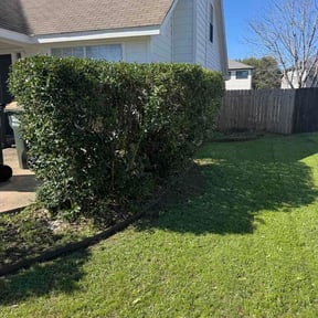Bush Trimming by CM Lawn Care LLC reviewed on March 19, 2026