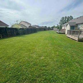 gardening service by Lawn Care reviewed on August 14, 2025