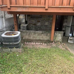 Bush Trimming by Greener Lawn Care LLC. reviewed on June 15, 2025