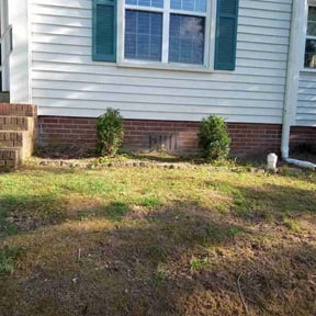 Bush Trimming by Robert Carreras Lawn Care reviewed on August 19, 2025