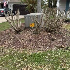 Bush Trimming by VOW Services reviewed on November 27, 2025