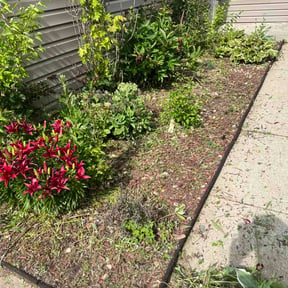 Flower Bed Weeding by Marks Mowing Service reviewed on June 5, 2026