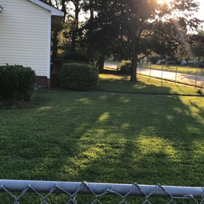 Bush Trimming by MPV Landscaping reviewed on August 16, 2025