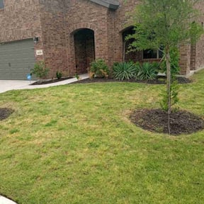 Flower Bed Weeding by Yanez Brothers Landscaping reviewed on August 15, 2025