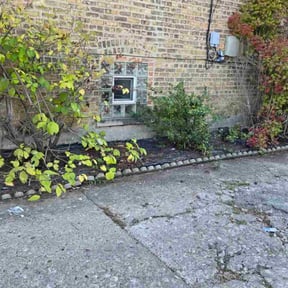 Leaf Removal by GC Lawn Care &amp; Landscaping Services reviewed on October 24, 2025