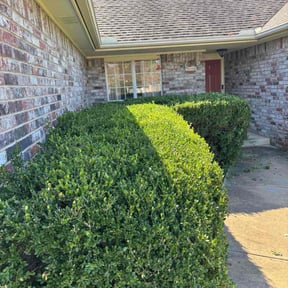 Bush Trimming by J awn care reviewed on August 5, 2025