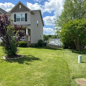 grass cutting by Fresh Start Lawn & Landscaping Services reviewed on May 16, 2024