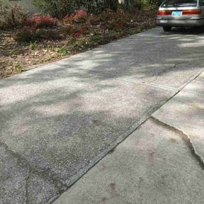 Leaf Removal by Tree service and moving reviewed on May 2, 2026
