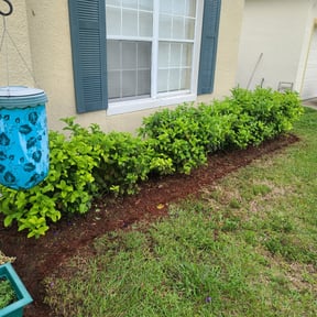 Flower Bed Weeding by Earls Lawn Care reviewed on September 16, 2026