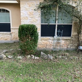 Bush Trimming by E3landscaping reviewed on August 17, 2025