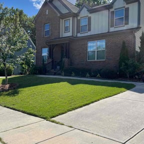 yard service by Lawn king of wny reviewed on August 21, 2025