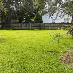 yard work by Vintage Lawn Care reviewed on August 20, 2025