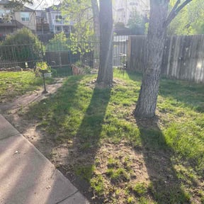 Leaf Removal by Martínez lawn care reviewed on May 15, 2026