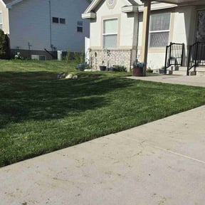 yard work by Land-Co reviewed on August 16, 2025