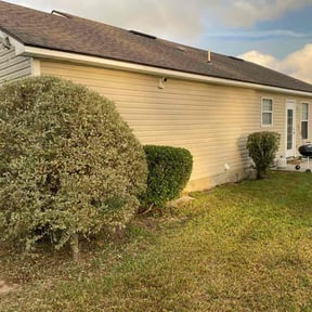 Bush Trimming by Freel&#039;s Lawn Care reviewed on November 6, 2025