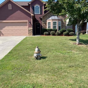 Bush Trimming by Navarro Land Care reviewed on August 21, 2025