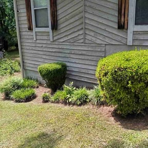 Bush Trimming by Grass sprout reviewed on May 11, 2026