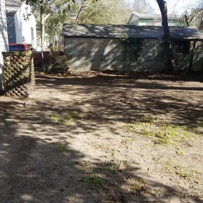 Leaf Removal by Lawn care by a local college student reviewed on September 29, 2025